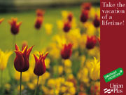 Postcard_thb_2